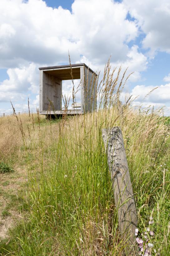 landschapskubus in het groen