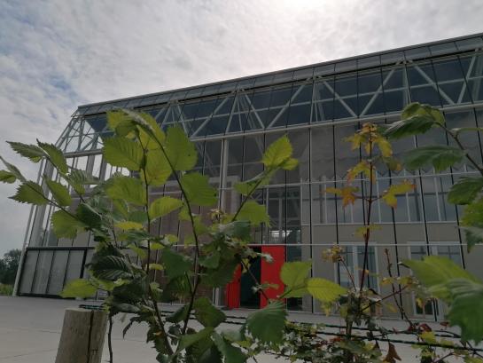 Glazen gebouw in het groen